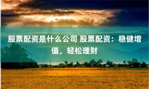 股票配资是什么公司 股票配资：稳健增值，轻松理财